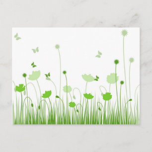 Minimalistische Grüne und Weiße Pflaumen Wiesenblu Postkarte