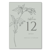 Minimalistische, handgezeichnet Reben weiße Farbe