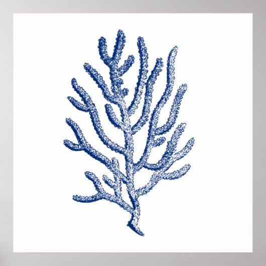 Minimalistische Koralle in Blau Poster (Vorne)