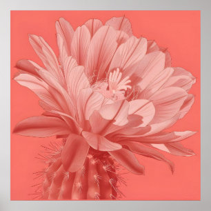 Minimalistische Korallen-Kaktus-Blüte Poster
