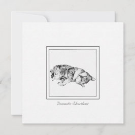 Minimalistische Kreide- und Katzenkatze Mitteilungskarte