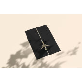 Minimalistische Luftfahrt Flyer