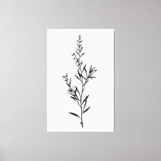 Minimalistische monochrome Rosemary Sprig Sketch Leinwanddruck (Vorderseite)