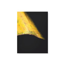 Minimalistische Naturfotografie Blatt im Schatten