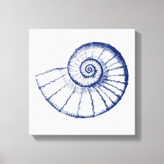 Minimalistische Nautilus-See-Muschel Leinwanddruck (Vorderseite)