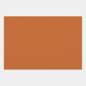 Minimalistische ockerbraune Bronze schlicht elegan Geschenkpapier Set (Vorderseite 2)