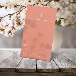 Minimalistische Orange Wedding Tischnummern Sockelschild