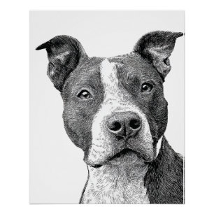 Minimalistische Pitbuli-Silhouette Schwarz-Weiß Poster