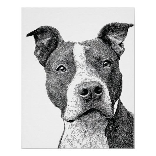Minimalistische Pitbuli-Silhouette Schwarz-Weiß Poster (Vorderseite)