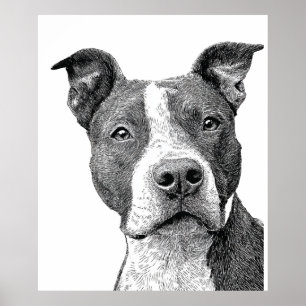 Minimalistische Pitbuli-Silhouette Schwarz-Weiß Poster