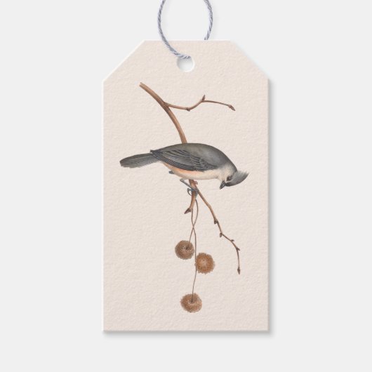 Minimalistische Rosa- und Graubvogelmarke Geschenkanhänger (Vorderseite)