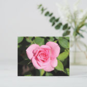 Minimalistische Rose Rosa Valentine Postkarte (Stehend Vorderseite)