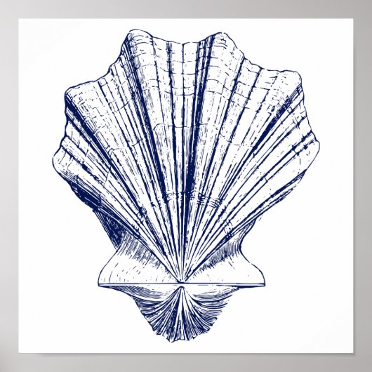 Minimalistische Scallop Seashell in Blau Poster (Vorne)
