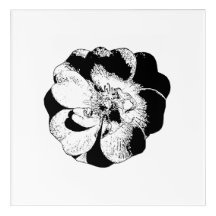 Minimalistische Schwarz-Weiß-Acryl-Wand Art