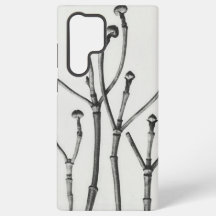 Minimalistische Schwarz-Weiß-Naturfotografie