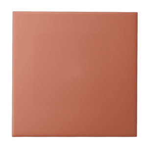 Minimalistische Terracotta Schlichte Solid Color T Fliese