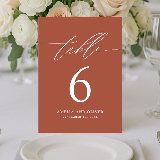 Minimalistische Terracotta Script Tischnummer Card