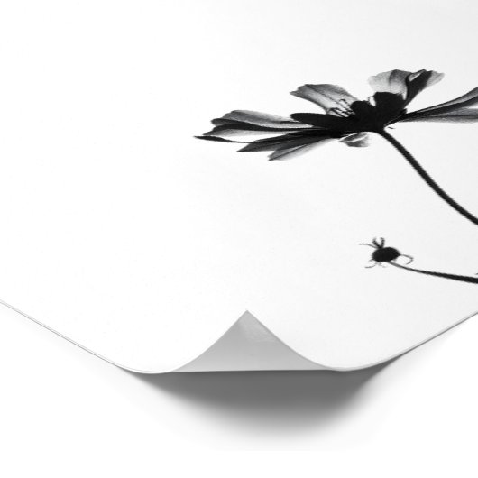 Minimalistische Tinte Blume Abstrakte Florenz Kuns Poster (Ecke)