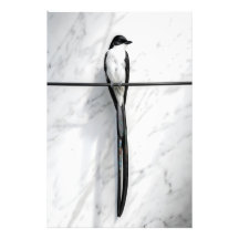 Minimalistische Vogel auf Draht Fotografie