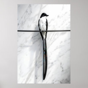 Minimalistische Vogel auf Draht Fotografie Poster