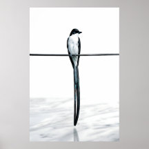 Minimalistische Vogel auf Draht Fotografie