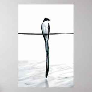 Minimalistische Vogel auf Draht Fotografie Poster