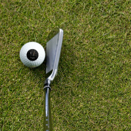 Minimalistische Wildblume Monogramm N schwarz Golfball