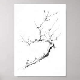 Minimalistische Zweigstelle des zarten Baumes Poster