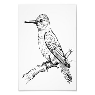 Minimalistischer Bird Illustration Line Art Fotodruck