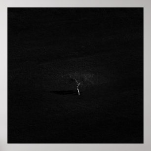 Minimalistischer einsamer Baum in Schwarz-Weiß Poster
