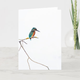 Minimalistischer Eisvogel auf weiß für Vogelbeobac Karte
