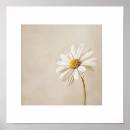 Minimalistischer Gänseblümchen-Blumenposter – Neut Poster (Vorne)