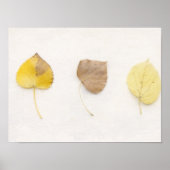 Minimalistischer Herbstblätter-Kunstprint – Neutra Poster (Vorne)