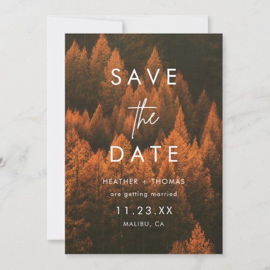 Minimalistischer Herbstwald - Save-the-Date (Vorderseite)