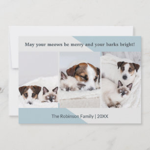 Minimalistischer Hund Katze Foto Collage Modernes Feiertagskarte