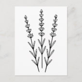 Minimalistischer Lavendel Sprigs Kunst, Dichtung u Postkarte (Vorderseite)