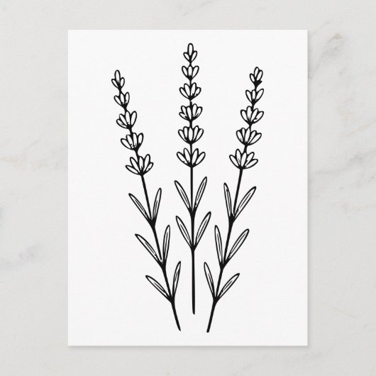 Minimalistischer Lavendel Sprigs Kunst, Dichtung u Postkarte (Vorderseite)