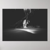 Minimalistischer Schwarz-Weiß-Wasserfall Poster (Vorne)