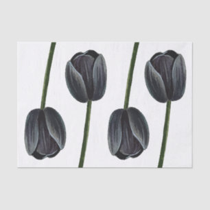 Minimalistischer Schwarzer Tulip Seidenpapier
