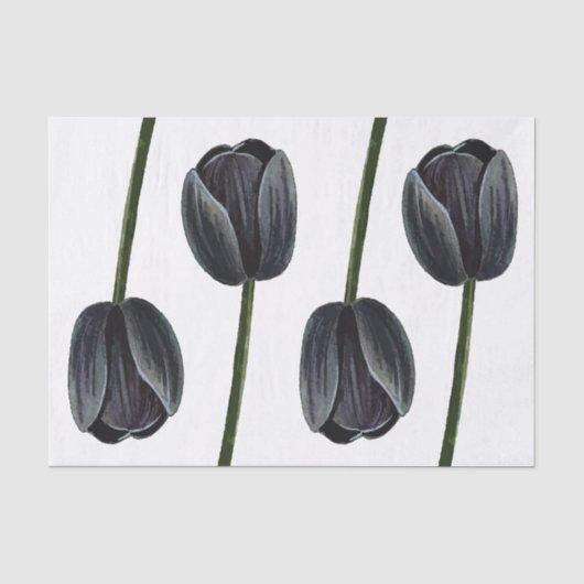 Minimalistischer Schwarzer Tulip Seidenpapier (Vorderseite)