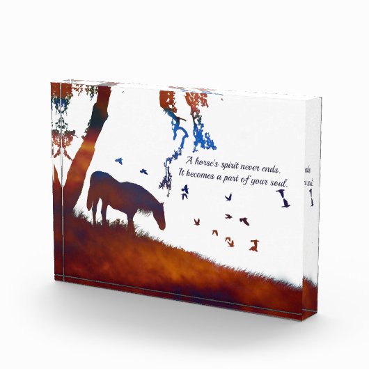 Minimalistischer Stilgeist in der PferdeMemorial Fotoblock (Rechts)