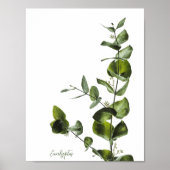 Minimalistisches Eukalyptus-Poster Poster (Vorne)