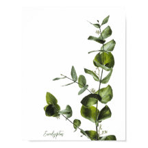 Minimalistisches Eukalyptus-Poster