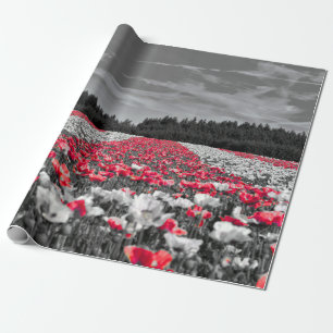 Minimalistisches Farbfoto für die Blume Geschenkpapier