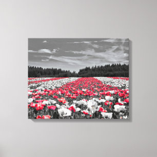 Minimalistisches Farbfoto für die Blume Leinwanddruck