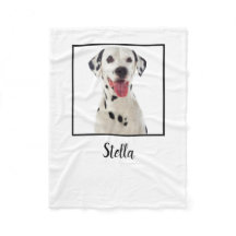 Minimalistisches Foto für Weißhunde