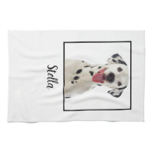 Minimalistisches Foto für Weißhunde