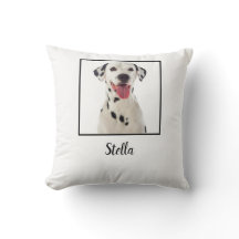 Minimalistisches Foto für Weißhunde