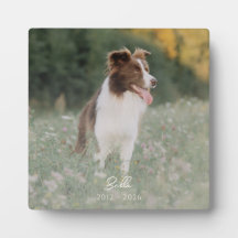 Minimalistisches Fotogedenkstück Hund Verlust Erin