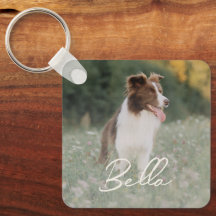Minimalistisches personalisiertes Hunde-Foto